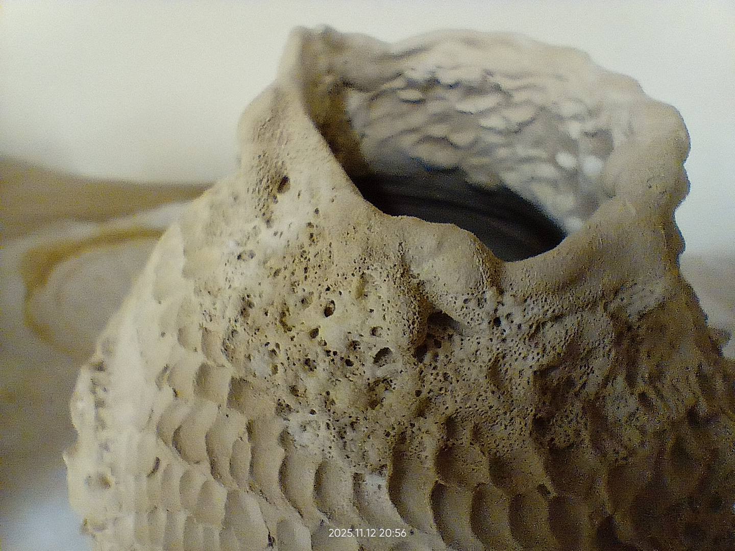 Proces tworzenia w pracowni Barwa Gliny